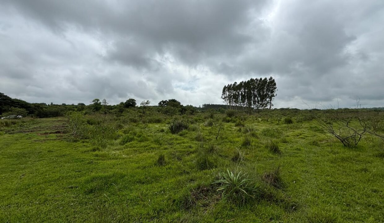 IMG-20250404-WA0280