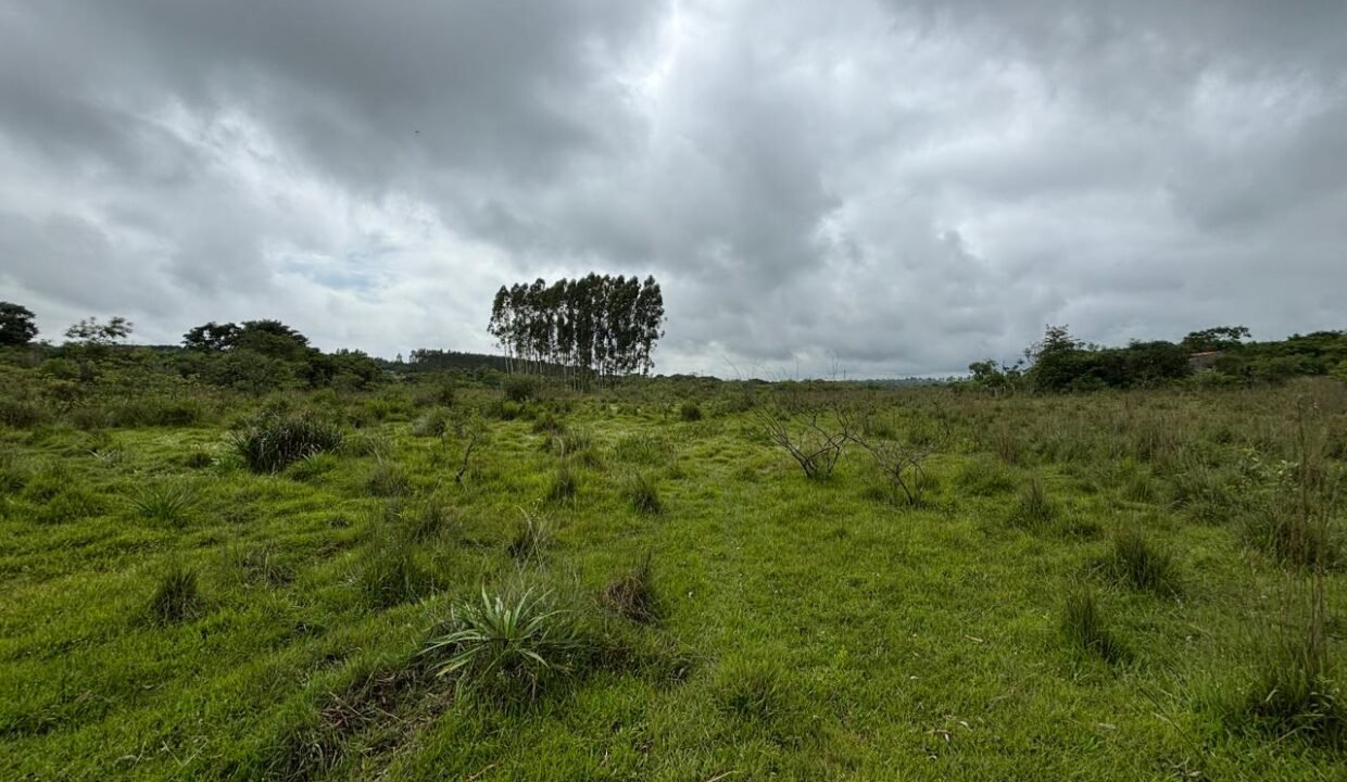 IMG-20250404-WA0281