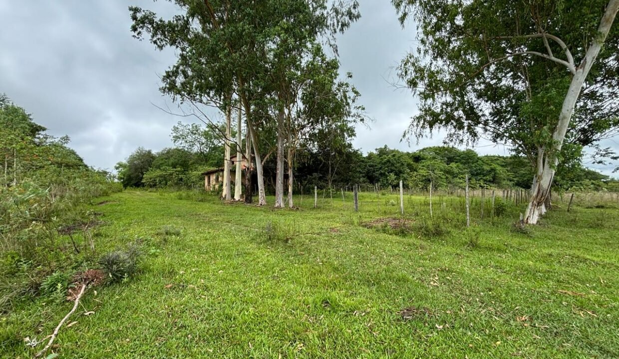 IMG-20250404-WA0282