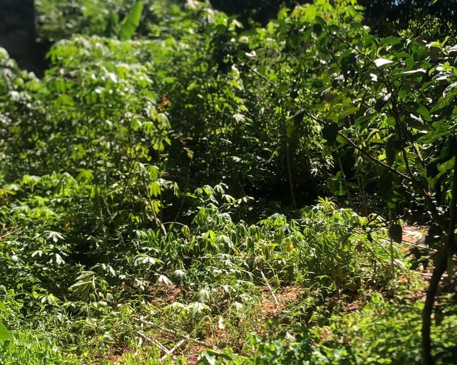 IMG-20240502-WA0319