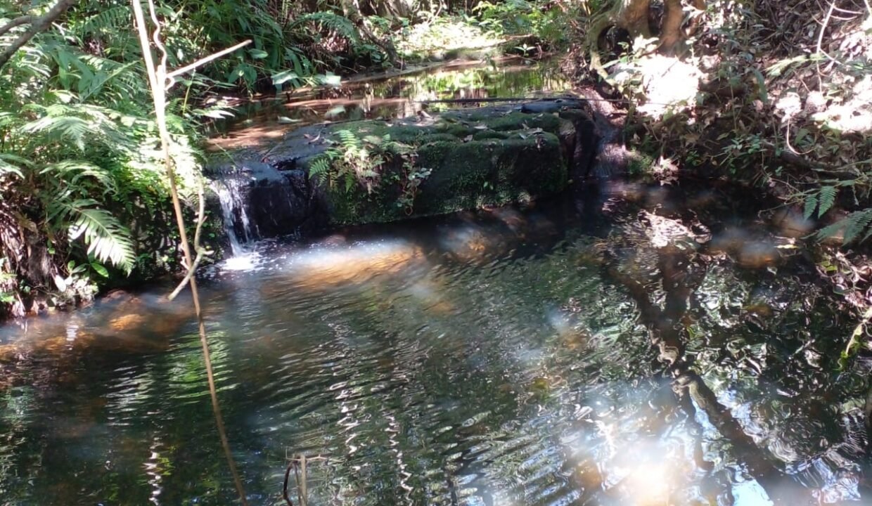IMG-20250704-WA0009