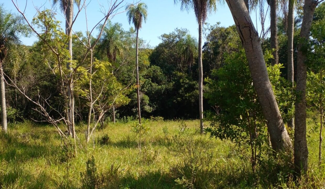 IMG-20250704-WA0011