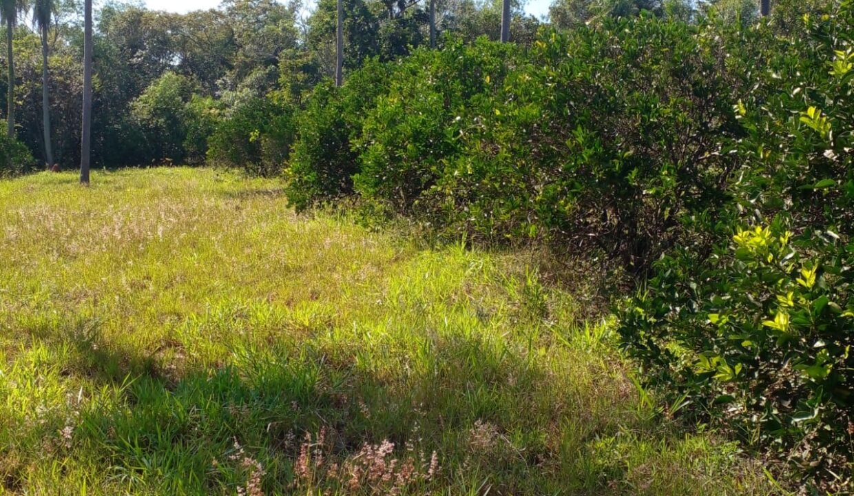 IMG-20250704-WA0013