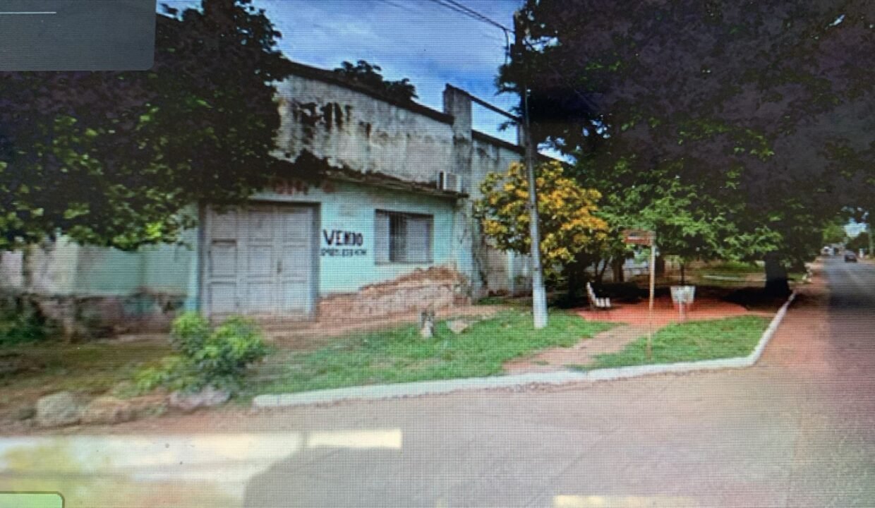 WhatsApp Image 2026-02-19 at 3.34.20 PM