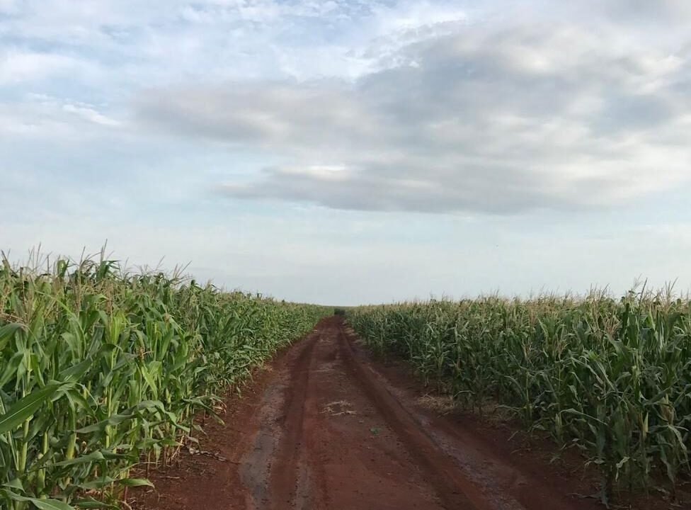 WhatsApp Image 2026-01-30 at 10.04.03 AM