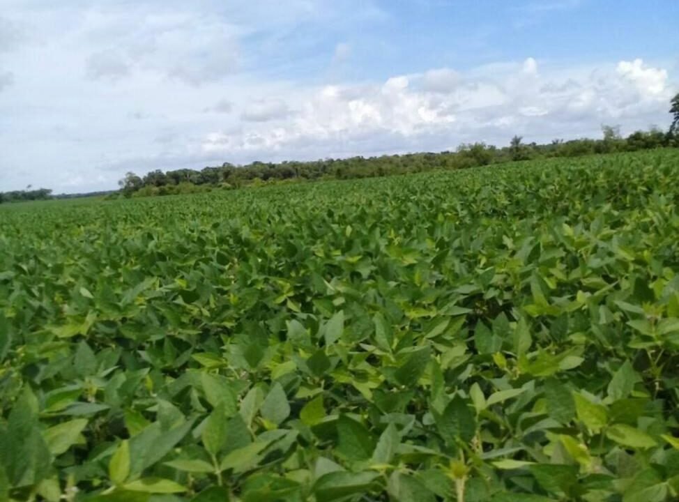 WhatsApp Image 2026-01-30 at 10.04.04 AM (1)