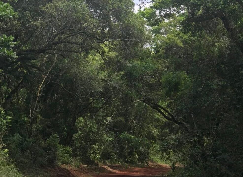 WhatsApp Image 2026-01-30 at 10.04.04 AM