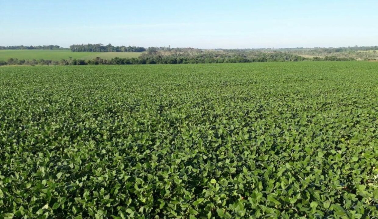 WhatsApp Image 2026-01-30 at 10.04.05 AM