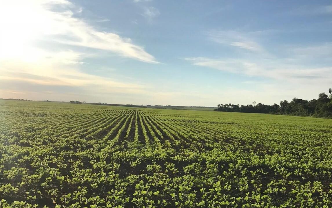 WhatsApp Image 2026-01-30 at 10.04.06 AM (1)