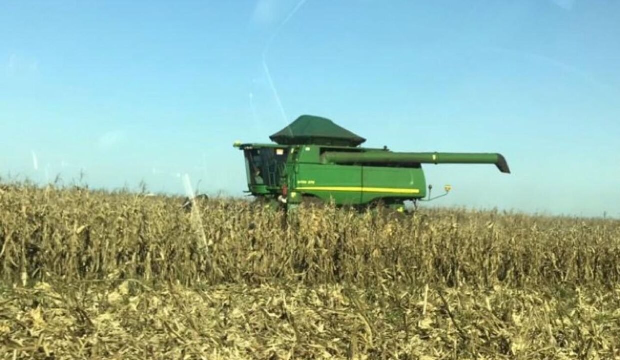 WhatsApp Image 2026-01-30 at 10.04.06 AM