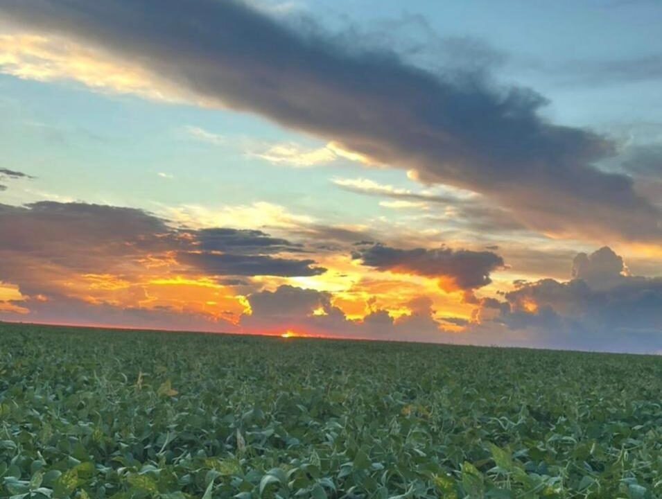 WhatsApp Image 2026-01-30 at 10.04.08 AM (3)