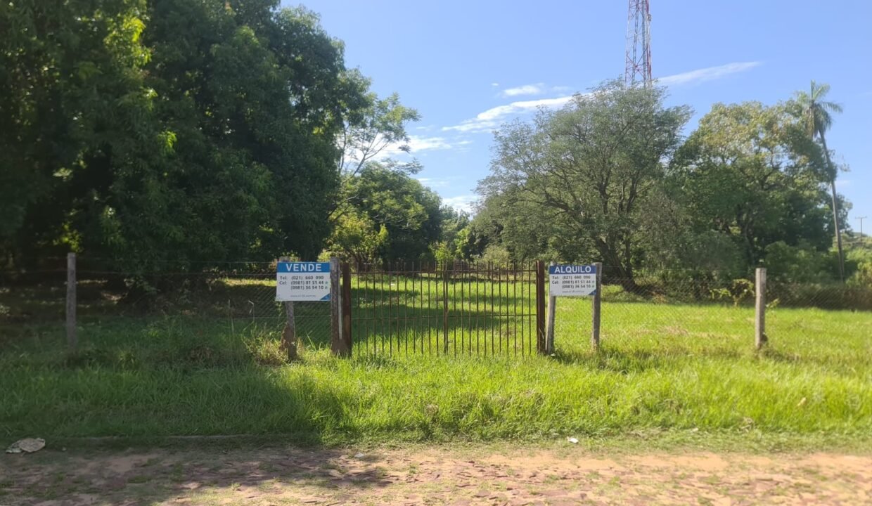 WhatsApp Image 2026-03-16 at 2.03.02 PM (1)