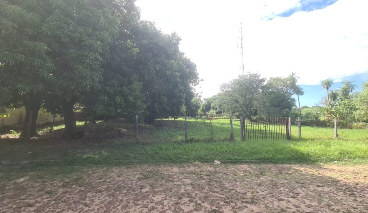 WhatsApp Image 2026-03-16 at 2.03.02 PM