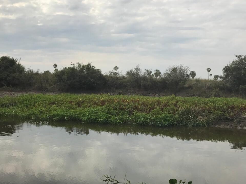 WhatsApp Image 2026-03-18 at 7.09.13 PM