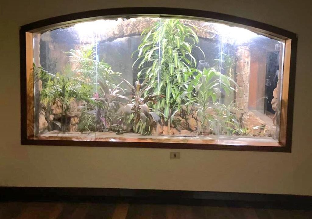 WhatsApp Image 2026-04-07 at 2.35.26 PM (1)